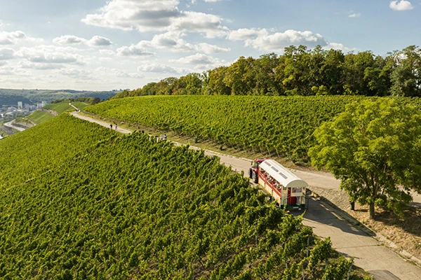 Weinbergsfahrt in Würzburg am Stein mit Planwagen in den Weinberg bei guten Wetter